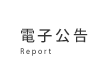 電子公告 Report